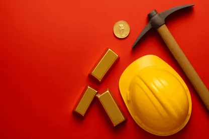 Previous Article Image