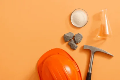 Previous Article Image