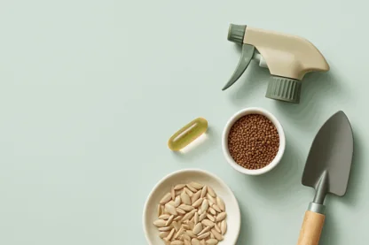 Previous Article Image