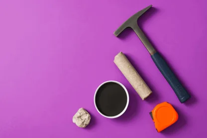 Previous Article Image