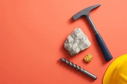 Previous Article Image