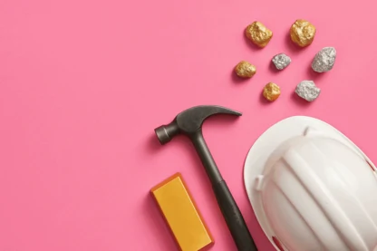 Previous Article Image