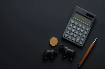 Previous Article Image