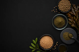 Sea Forest turns SeaFeed into a $5 million commercial business