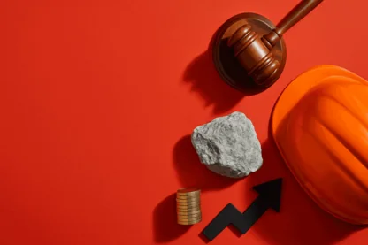 Previous Article Image