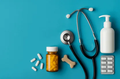 Previous Article Image