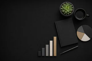 Solaris Australian Equity Income Plus posts inaugural profit, beats benchmark, declares first fully franked dividends