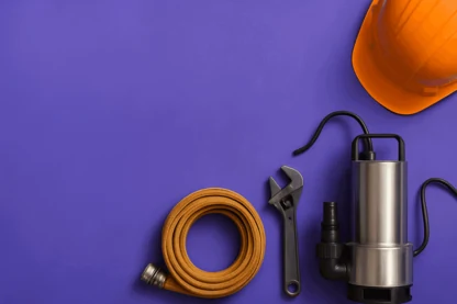 Previous Article Image