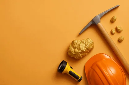 Previous Article Image