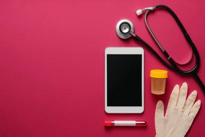 Previous Article Image