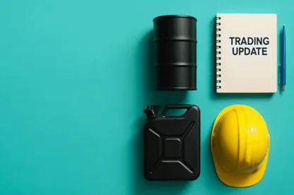 Previous Article Image