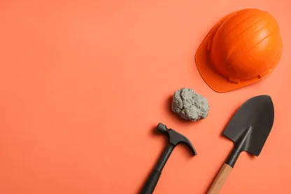 Previous Article Image