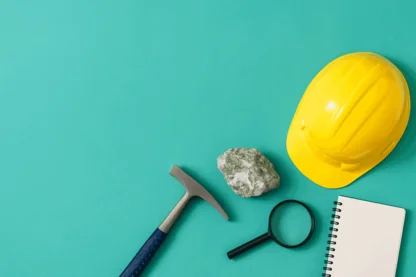 Previous Article Image