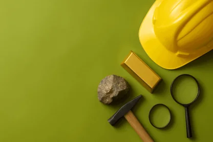 Previous Article Image