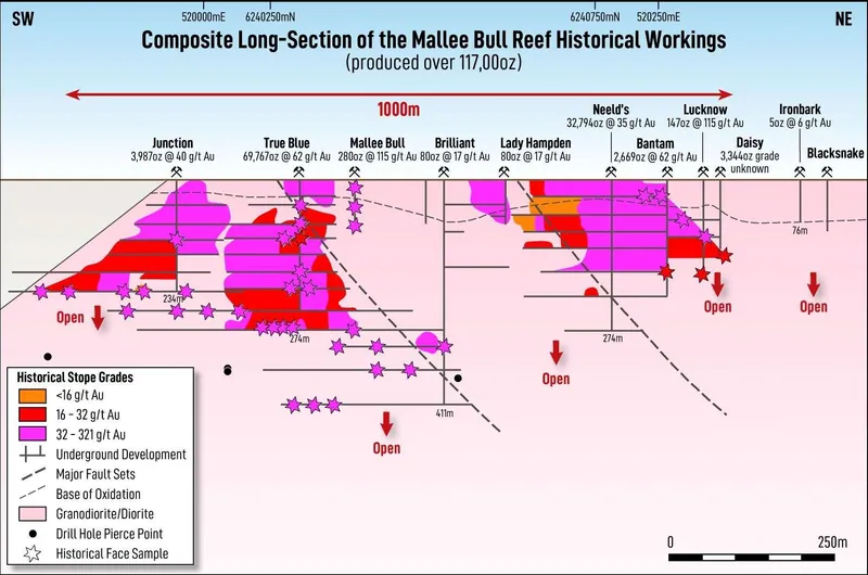 Composite Long Section of the historical Mallee Bull gold workings