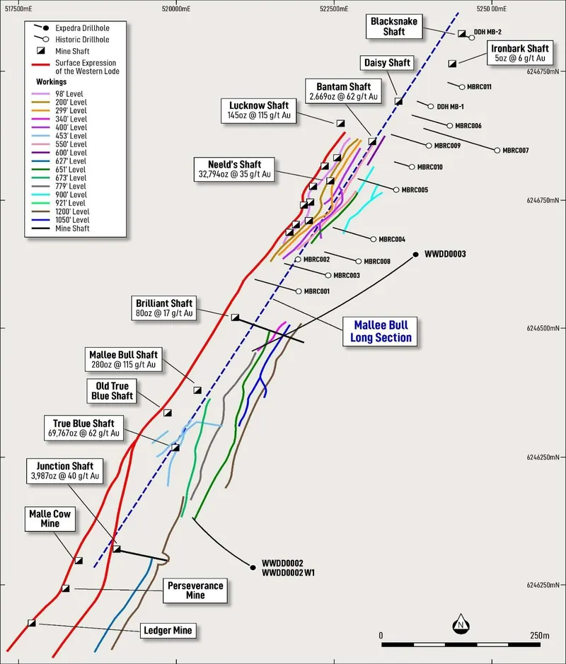 Plan view of historic Mallee Bull Reef level development and previous drilling locations