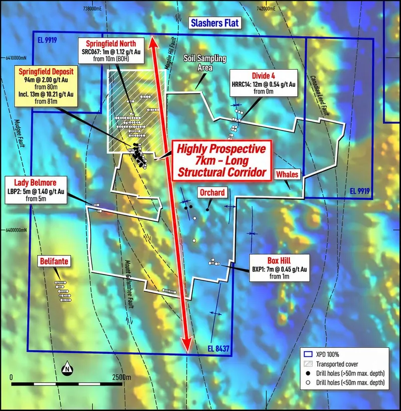 Image of magnetic data over the Slashers Flat Project highlighting a highly-prospective 7km-long structural corridor within which the Springfield Gold Deposit…