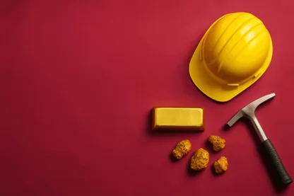 Previous Article Image