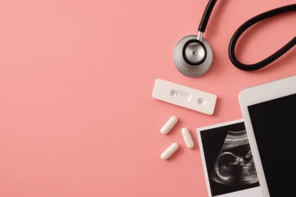 Previous Article Image