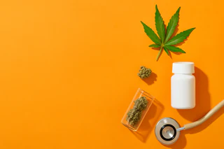 Cann Group Surges with Record Production and Strategic Funding Boost