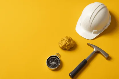 Previous Article Image