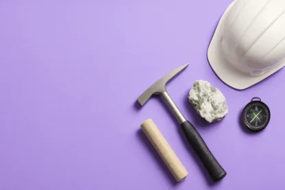 Previous Article Image