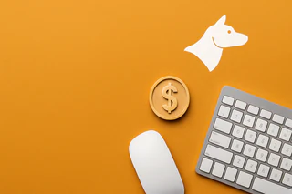BirdDog Technology Launches Premium Buy-Back Ahead of ASX Delisting
