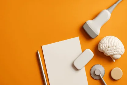 Previous Article Image