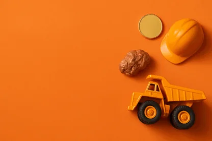 Previous Article Image