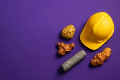 Previous Article Image