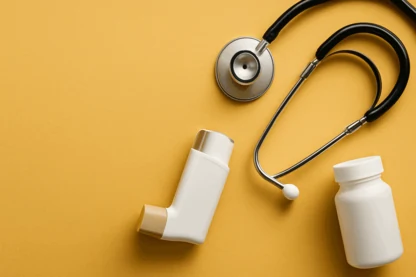 Previous Article Image