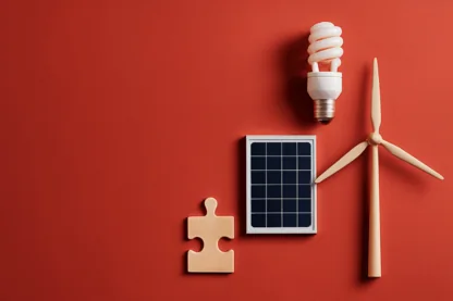 Previous Article Image