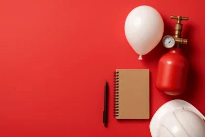 Previous Article Image