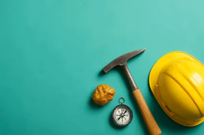 Previous Article Image