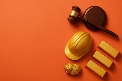 Previous Article Image