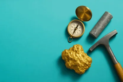 Previous Article Image