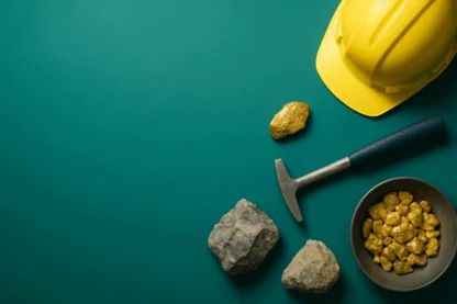 Previous Article Image