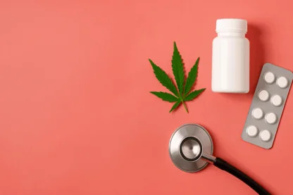 Previous Article Image