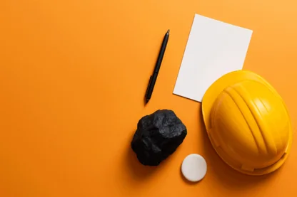 Previous Article Image