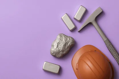 Previous Article Image