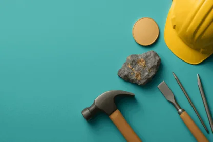 Previous Article Image