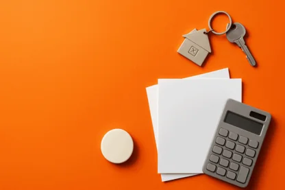 Previous Article Image