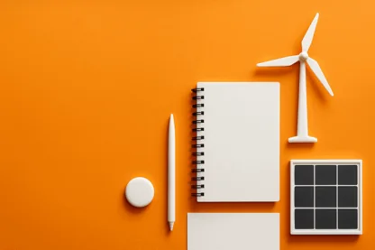 Previous Article Image