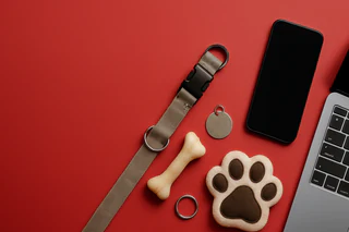 FIRB Clears Rover’s Full Acquisition of Mad Paws, Board Urges Shareholder Backing