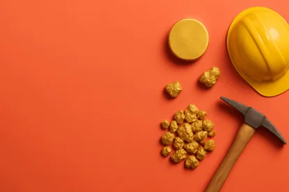 Previous Article Image