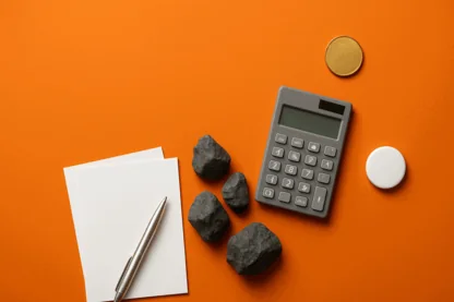 Previous Article Image