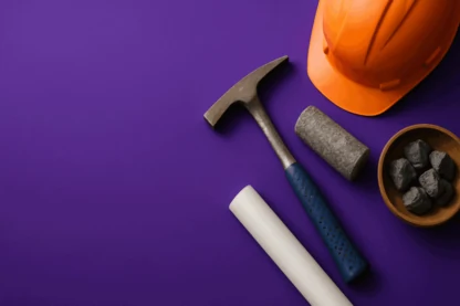 Previous Article Image