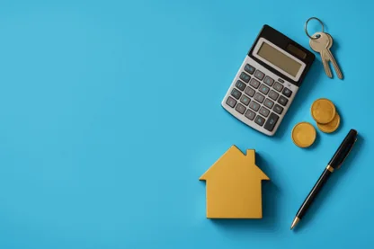 Previous Article Image