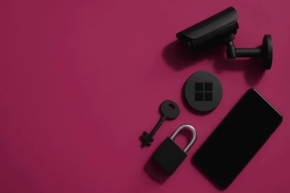 Previous Article Image