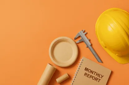 Previous Article Image